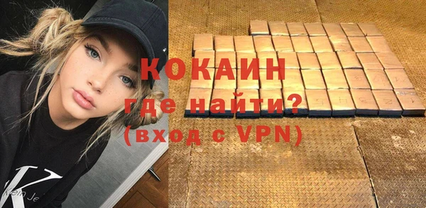 гашик Алексин