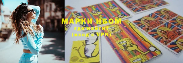 дмт Алзамай