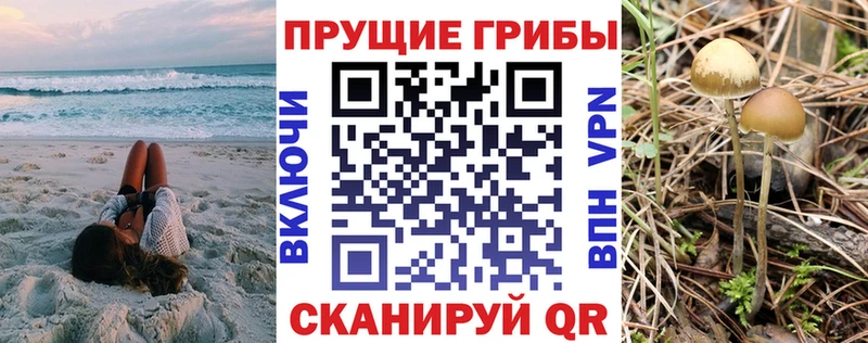 купить сайты Ивантеевка дарк нет наркотические препараты Псилоцибиновые грибы Cubensis